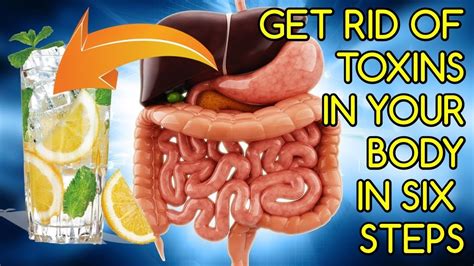 Get Rid Of Toxins In Your Body In Six Steps Youtube