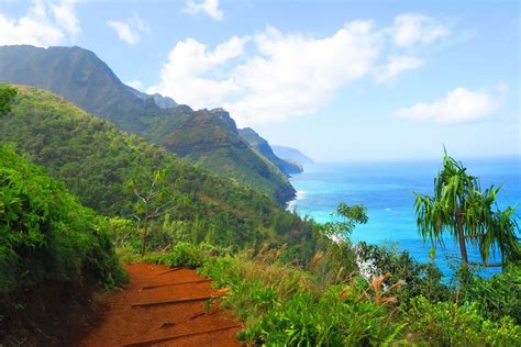 At camping.honolulu.gov you can reserve a campsite up to two (2) weeks in advance. The Best Hikes In Hawaii | Kauai hawaii, Hawaii travel ...