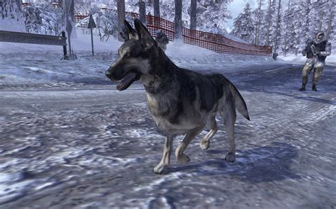 Image Dog Contingency Mw2png Call Of Duty Wiki Fandom Powered By
