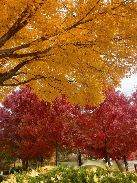 The colors are electric in... - Parella Lewis WYFF 4 | Facebook