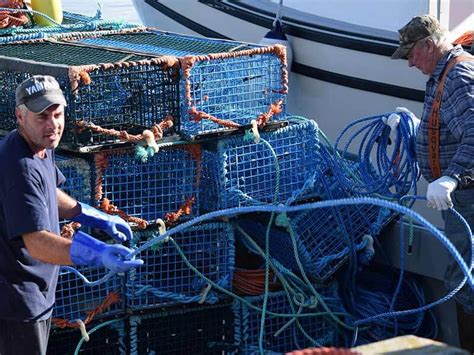 Lobster Season Opens In Lfas 33 34 Atlantic Fisherman