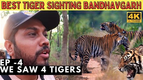 Bandhavgarh National Park Spotted