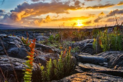Heres Where To Camp In Hawaii Volcanoes National Park