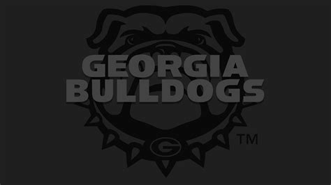 100 Georgia Bulldogs Wallpapers