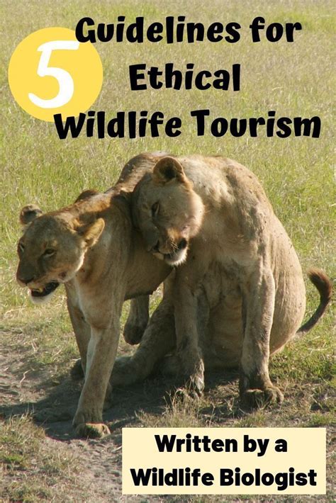 5 Guidelines For Ethical Wildlife Tourism Natuur Wetenschap
