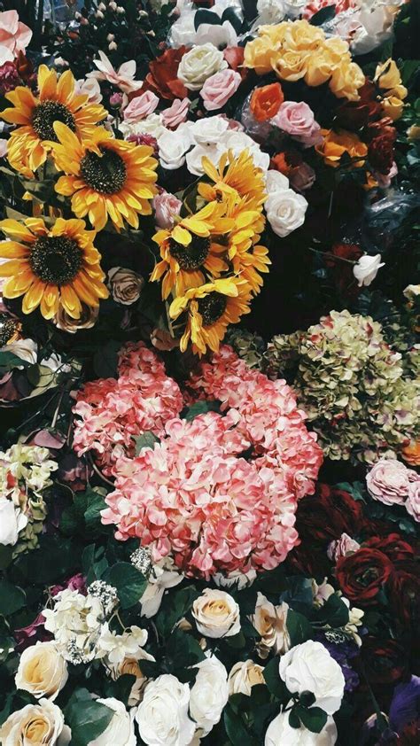 Pinterest Flower Wallpapers Top Free Pinterest Flower Backgrounds