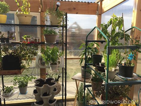Along with the power of extending the growth season of your favorite plants, a greenhouse can provide a relaxing place to visit to get lost in your thoughts. A DIY Greenhouse For Growing Food Year Round - Off Grid World