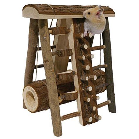 What Do Hamsters Need Heres How To Make Your Own Hamster Starter Kit