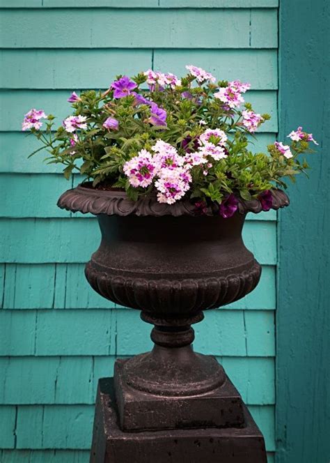 Need flowers for an event or wedding? Container Flower Garden Ideas for Summer - Town & Country ...