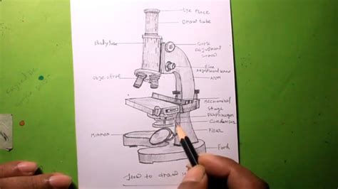 Simple Microscope Sketch Diagram Micropedia Gambaran