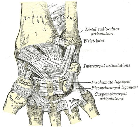 Wrist Pain Causes And Treatment Bone And Spine