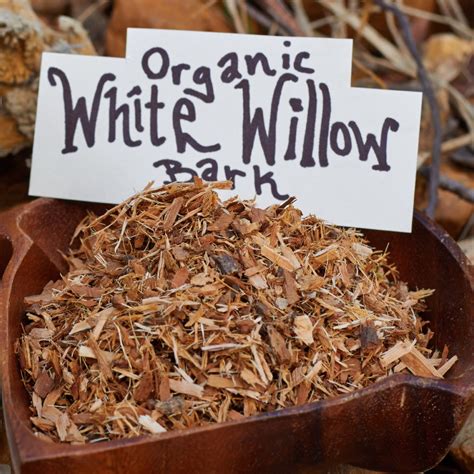 Herbal Remedies Healthy Life White Willow Bark For Pain Relief