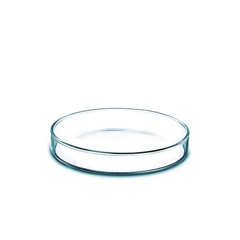 Petri Dish Glass 10x10x2 Cm Cellink
