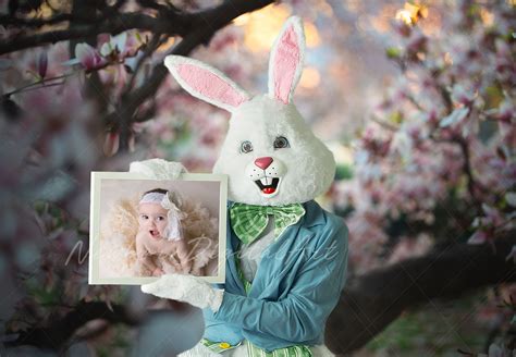 Easter Bunny With Frame Digital Backdrop Easter Backdrop Etsy In Easter Backdrops