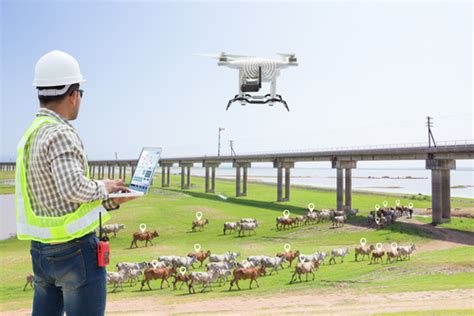 Monitoring And Moving Livestock On The Farm Using Drones