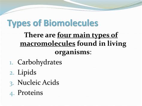 Ppt Biomolecules Powerpoint Presentation Free Download Id2672962