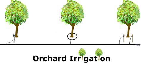 Orchard Irrigation Guide Drip Depot Diy Irrigation Support