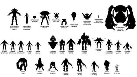 Halo Species Size Chart Rhalo