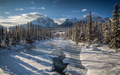 Winter River Mountain Forest Trees Mount Temple Canada Snow Wallpaper