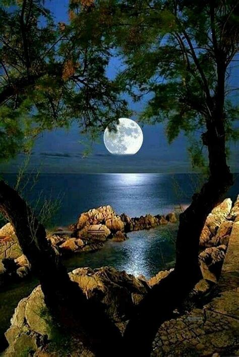 Good Night All Dear Friends Have A Nice Rest And Dream