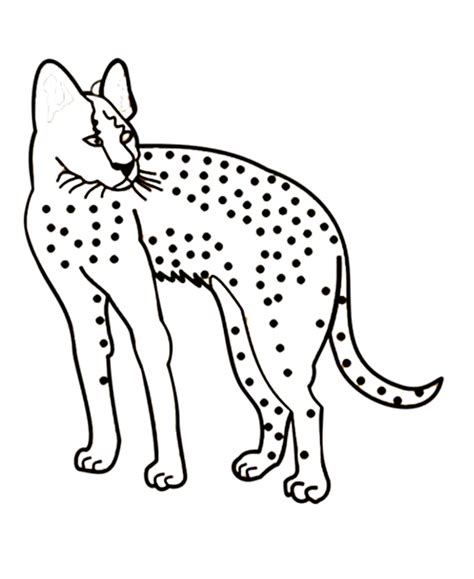Check spelling or type a new query. Images Of Cheetahs Running - Coloring Home