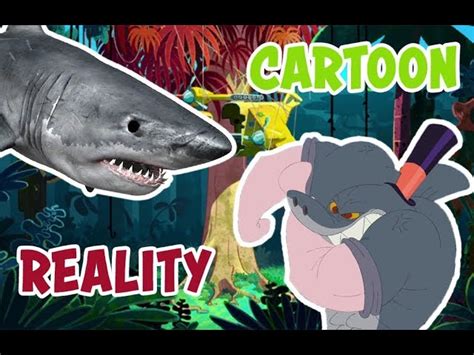 New Zig And Sharko Cartoon Vs Real Life 3