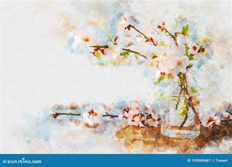 Watercolor Style And Abstract Image Of Cherry Tree Flowers Stock Image