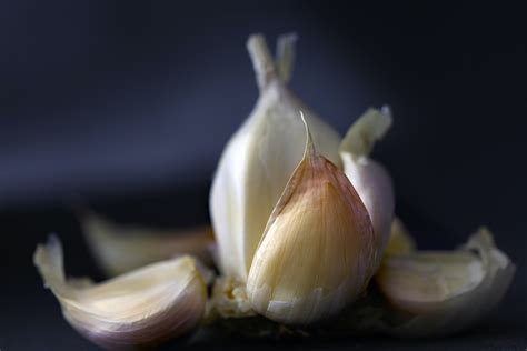 Energetics Of Garlic Move Over Dracula — East West Wellness