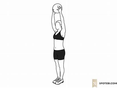 Overhead Press Ball Medicine Lunge Reverse Exercise