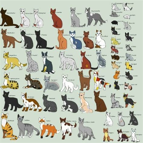 85 Best Cat Types Images On Pinterest Kitty Cats Adorable Animals