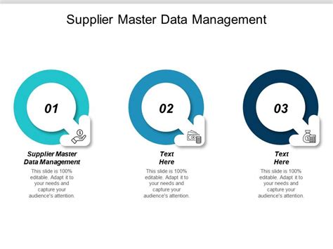 Supplier Master Data Management Ppt Powerpoint Presentation Visual Aids