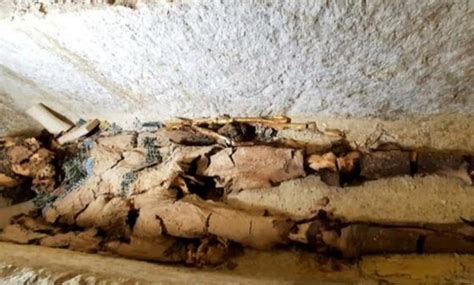 archaeologists discover oldest non royal mummy ever found in egypt worldtimetodays