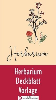 Das sind die einzelnen seiten. Deckblatt Herbarium - 2 | Herbarium vorlage, Deckblatt ...
