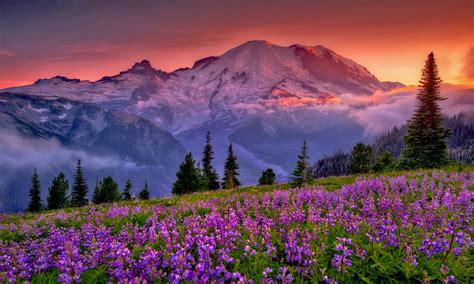 Washington State Mountain Sunset 1280x768 Download Hd Wallpaper