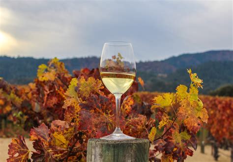 Why Fall Is The Best Time To Visit Napa Valley Girlwithglass Com