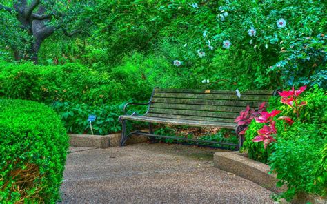 A Wooden Bench Sitting In The Middle Of A Lush Green Park Filled With