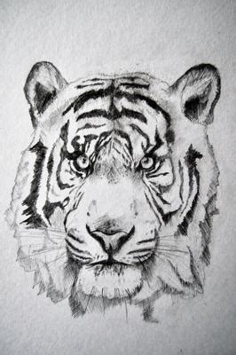 How to draw a tiger. My first drawing of a tiger