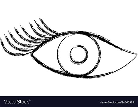 Sexy Female Eye Icon Royalty Free Vector Image