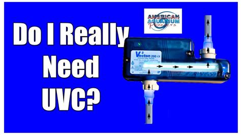 Great savings & free delivery / collection on many items. Do I Really Need a Aquarium UV Sterilizer? - YouTube