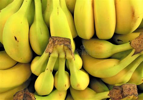 Bananas From Local Produce Market Stock Image Image Of California