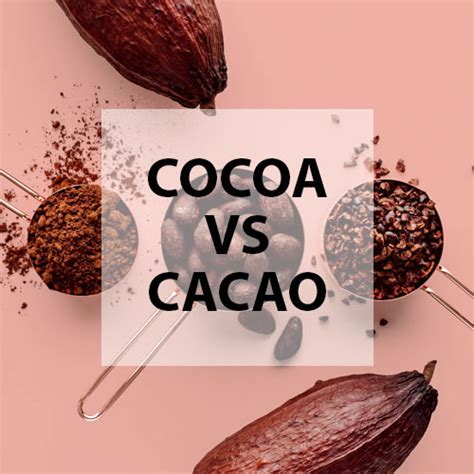 Cacao Vs Cocoa Is Cacao Really Better For You Than Cocoa