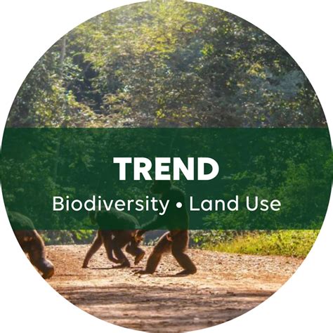 Biodiversity Strengthening Ecological Connectivity To Adapt