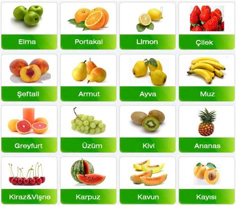 میوه ها و سبزیجات به زبان ترکی استانبولی با ترجمه