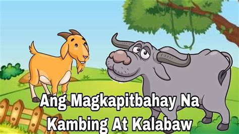 Ang Magkapitbahay Na Kambing At Kalabaw Youtube
