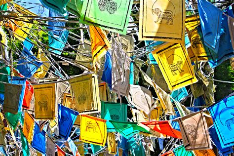 On this your special day may you have the gift of joy. Daily Disney - Tangled | These prayer flags can be seen ...