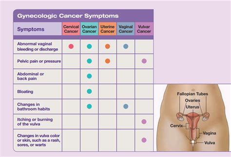 First Signs And Symptoms Of Cervical Cancer