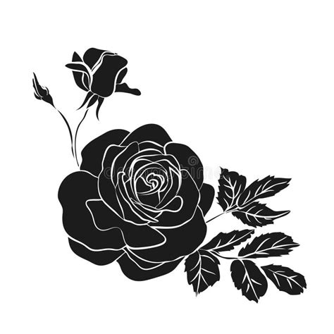 Silhouette Of Rose Stock Illustration Illustration Of Head 49516127