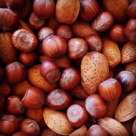 Edible Nuts Wholesale Lans Grupo