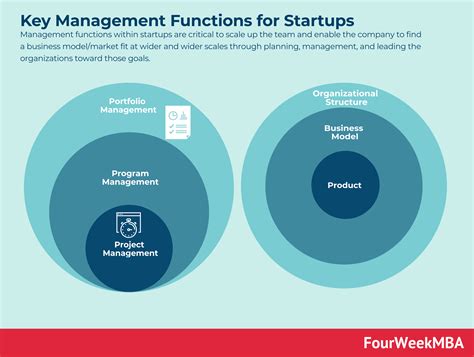 Key Management Functions For Startups Fourweekmba