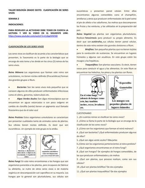 Taller Clasificación De Los Seres Vivos Taller BiologÍa Grado Sexto